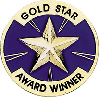 Gold Star Award Winner Enameled Round Pin