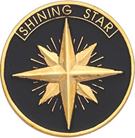 Shining Star Enameled Round Pin
