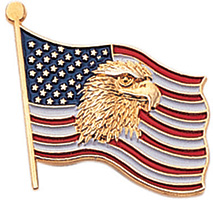 American Flag with Eagle Pin