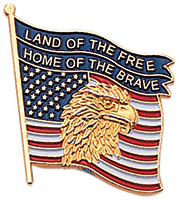 Land of the Free Flag Pin