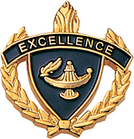 Excellence 3D Enameled Scholastic Pin