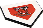 Custom Full Color Home Plate Plaque