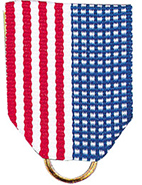 U.S. Flag Pin Drape
