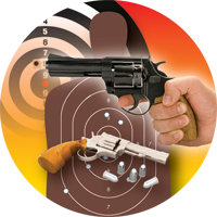 Guns- Pistol Shooting Insert