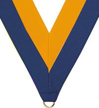 7/8 x 30 in. Blue & Gold Neck Ribbon