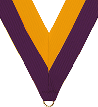 Purple & Gold Neck Ribbon