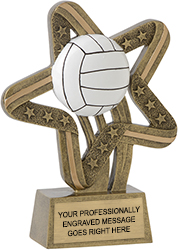 Volleyball Stars and Stripes Resin Trophy