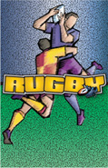 Rugby Plaque Insert