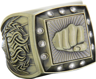 Championship Ring with Activity Insert- Martial Arts Gold