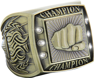 Championship Ring with Activity Insert- Martial Arts Gold