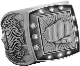 Championship Ring with Activity Insert- Martial Arts Silver