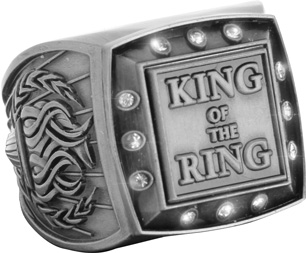 Championship Ring with Activity Insert- Wrestling Silver