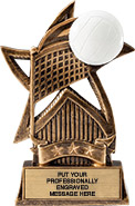 Volleyball Sweeping Star Trophy
