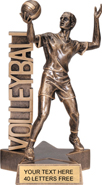 Volleyball Billboard Resin Trophy - Male
