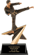 Martial Arts Star Power Resin Trophy
