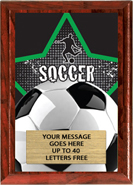 Soccer Full Color Star Plaque