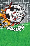 Soccer- Flame Plaque Insert