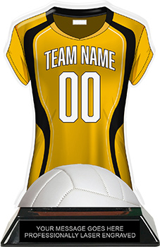Volleyball Jersey Colorix-T Acrylic Trophy- Gold