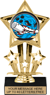Shooting Star Color Insert Trophy