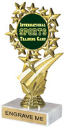 Star Frame Custom Insert Trophy