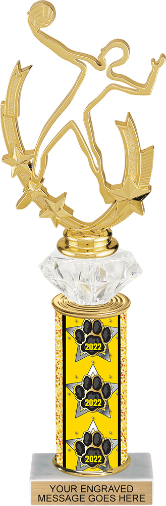 Diamond Riser 11 inch 2022 Paw Column Trophy