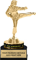 Trophybands Trophy- Tae Kwon Do
