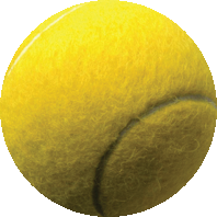Tennis Ball Insert