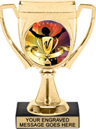 Winners Cup Color Insert Trophy
