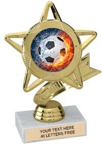 Star & Pennant Color Insert Trophy