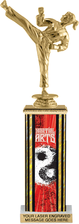 MARTIAL ARTS TROPHY X 12 STUDENT OF THE MONTH FREE ENGRAVING FX009 