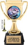 Winners Cup Custom Insert Trophy on Synthetic Regal Base