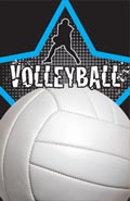 Volleyball- Male Plaque Insert