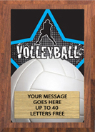 Volleyball Male Full Color Star Plaque