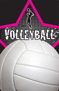 Volleyball- Female Plaque Insert