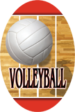 Volleyball- Aerial Oval Insert