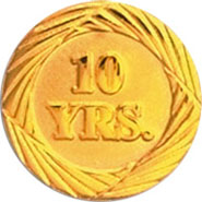 Anniversary Award Pins- 10 Years