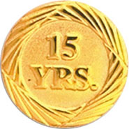 Anniversary Award Pins- 15 Years