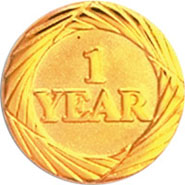 Anniversary Award Pins- 1 Year