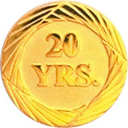 Anniversary Award Pins- 20 Years