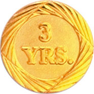 Anniversary Award Pins- 3 Year