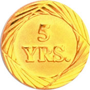 Anniversary Award Pins- 5 Year