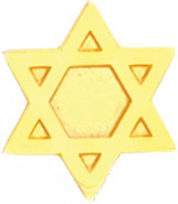 Gold Plated Pin- Star of David