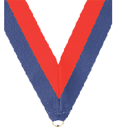 7/8 x 30 in. Blue & Red Neck Ribbon