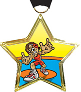 Wrestling Star-Shaped Insert Medal