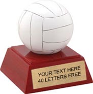 Volleyball Color Theme Resin Trophy