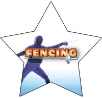 Fencing Star Insert