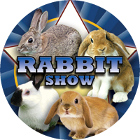 Rabbit Show Insert