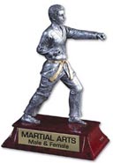 Martial Arts Signature Series Resin Trophy - Male