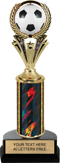 FREE Engraving 2 sizes Premium Acrylic Colour Football Award Sport Team Trophy 